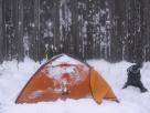 Kyle Pickering and Bobby McDowell walking across Canada